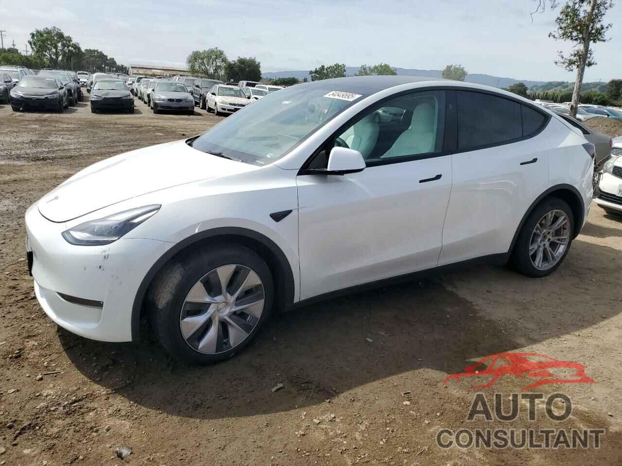 TESLA MODEL Y 2023 - 7SAYGDEE3PF815088