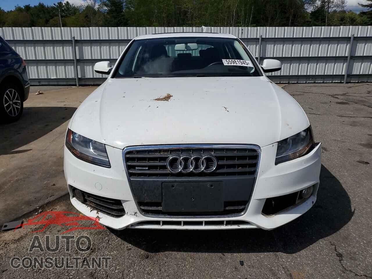 AUDI A4 2010 - WAUBFAFL9AN046684