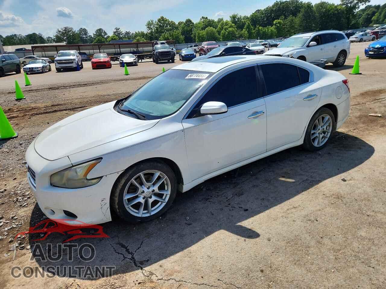 NISSAN MAXIMA 2009 - 1N4AA51E29C841215