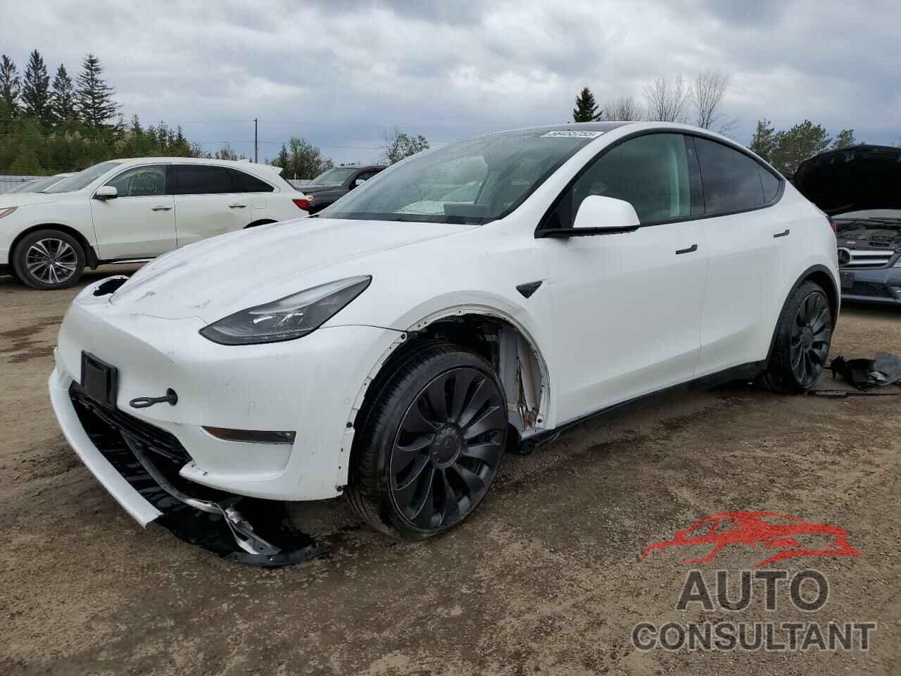 TESLA MODEL Y 2022 - 7SAYGDEF5NF444442
