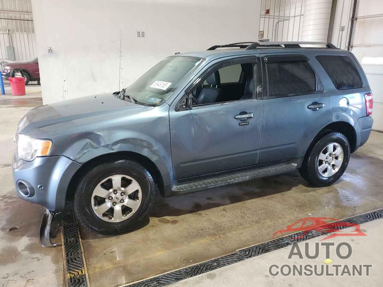 FORD ESCAPE 2011 - 1FMCU9EG7BKB14351