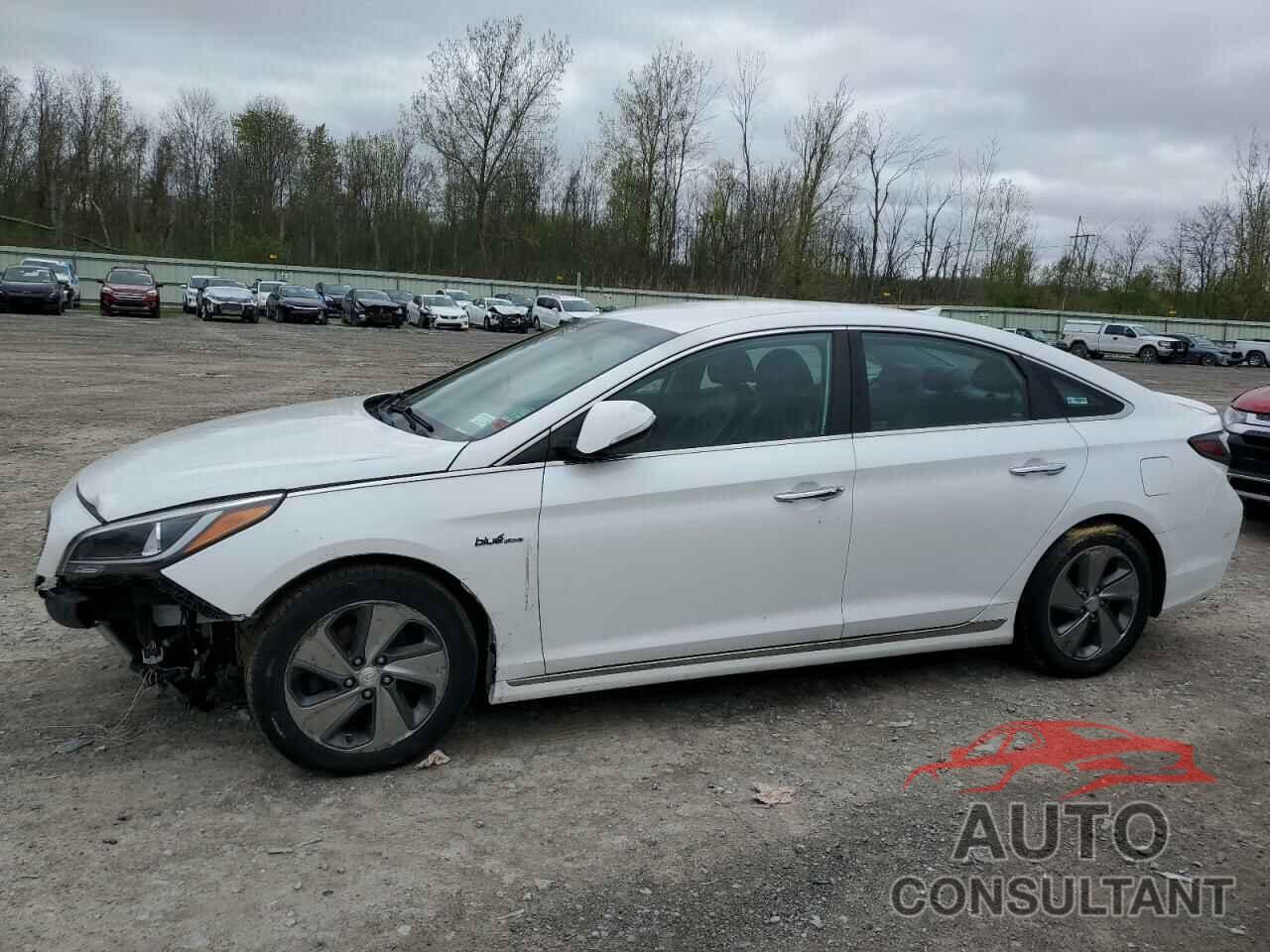 HYUNDAI SONATA 2017 - KMHE34L38HA062421
