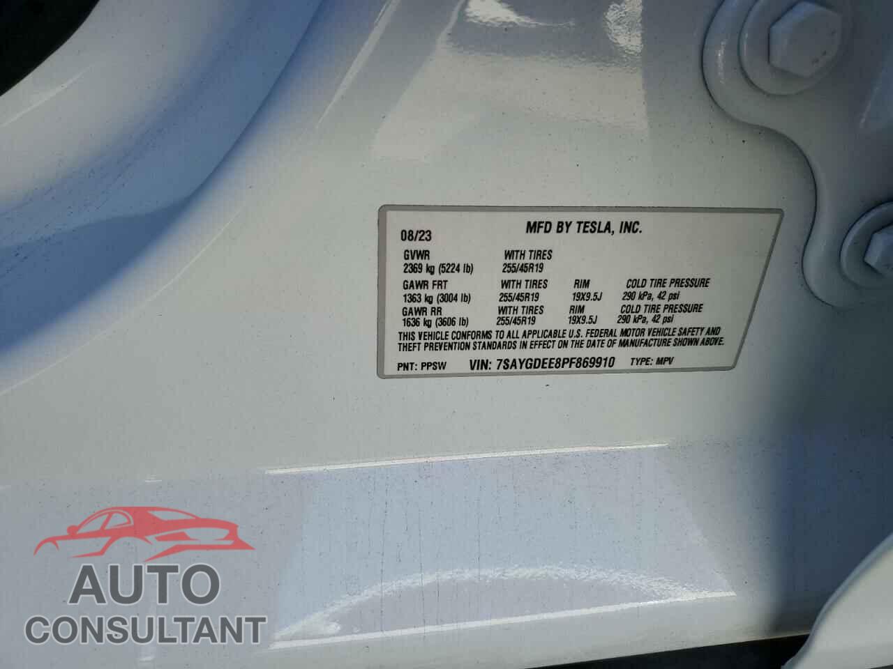 TESLA MODEL Y 2023 - 7SAYGDEE8PF869910
