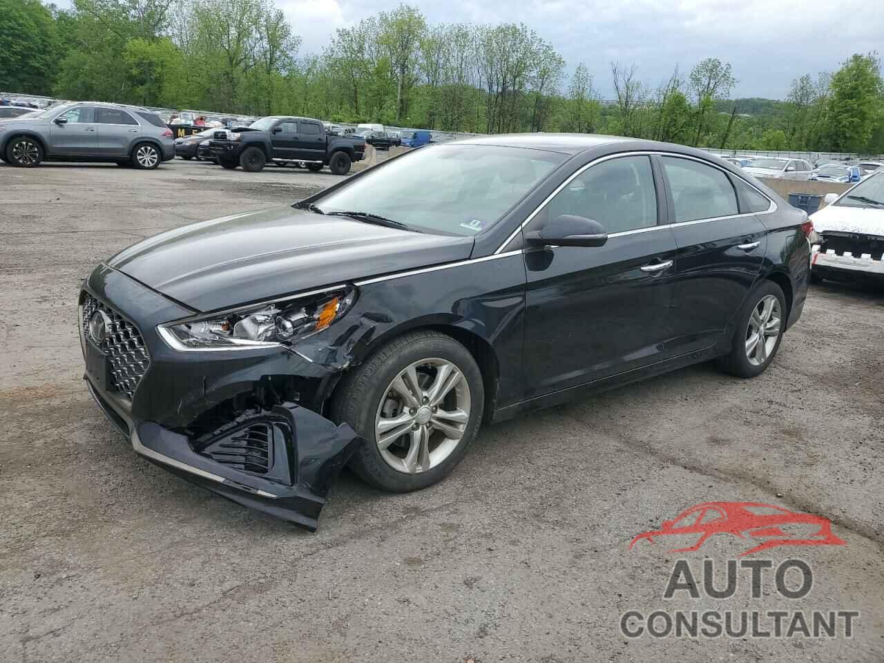 HYUNDAI SONATA 2019 - 5NPE34AF7KH746507