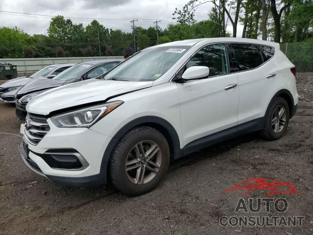 HYUNDAI SANTA FE 2017 - 5NMZTDLB3HH025604