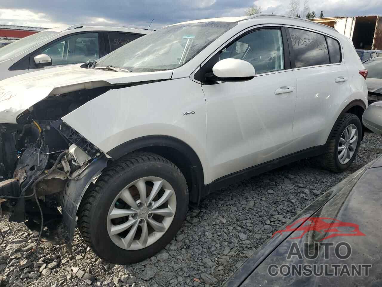 KIA SPORTAGE 2019 - KNDPMCAC4K7493527