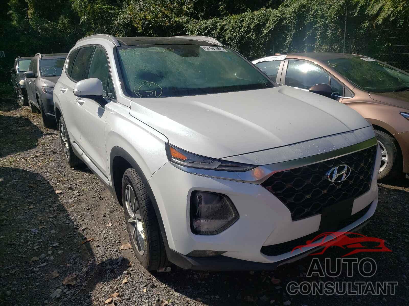 HYUNDAI SANTA FE 2019 - 5NMS5CAD3KH054554