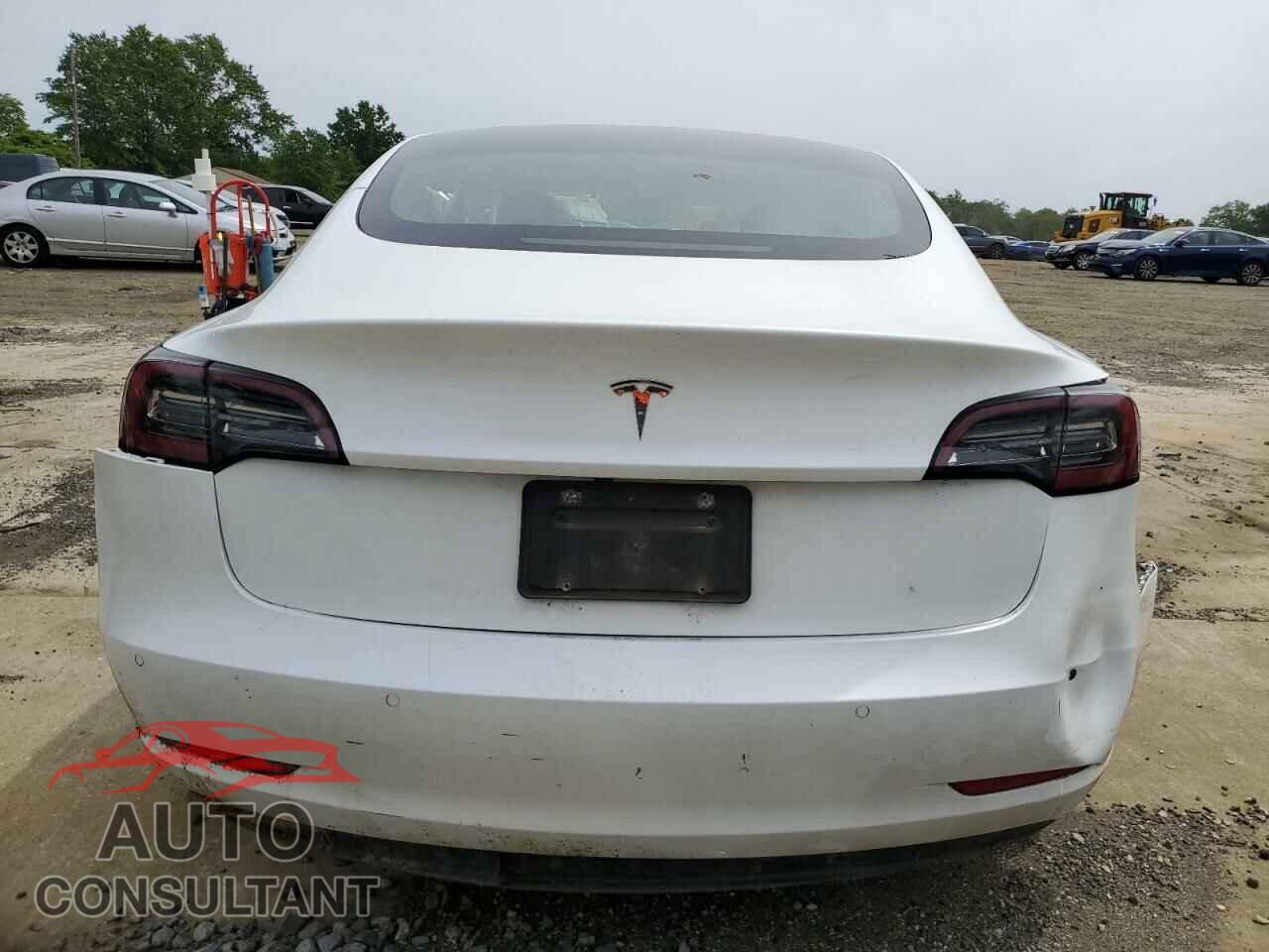 TESLA MODEL 3 2020 - 5YJ3E1EA0LF509923