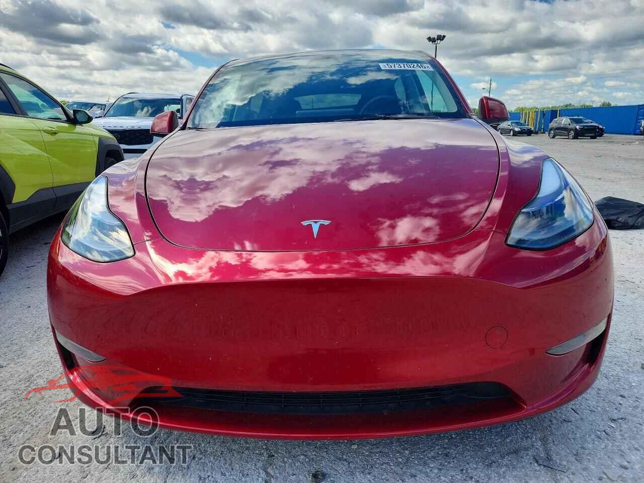 TESLA MODEL Y 2024 - 7SAYGDED9RF102738