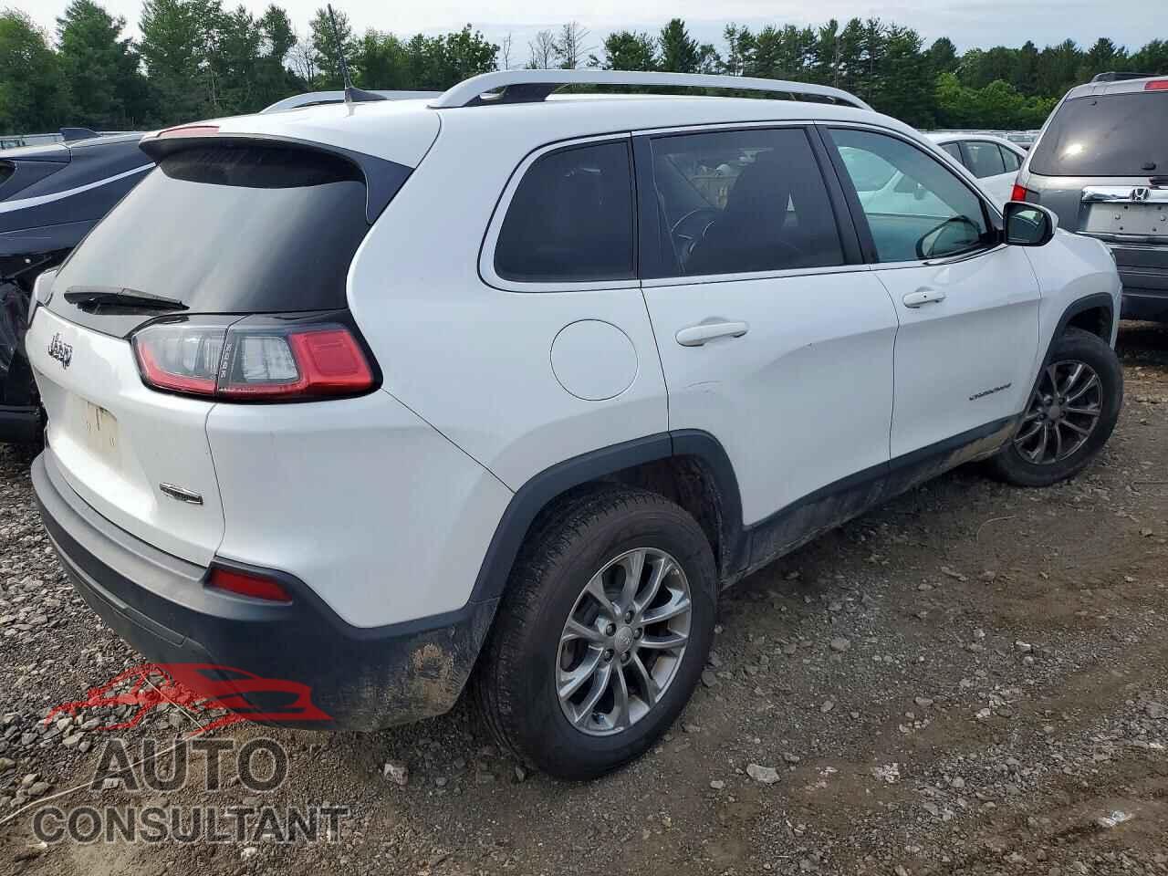 JEEP CHEROKEE 2019 - 1C4PJMLB9KD199058