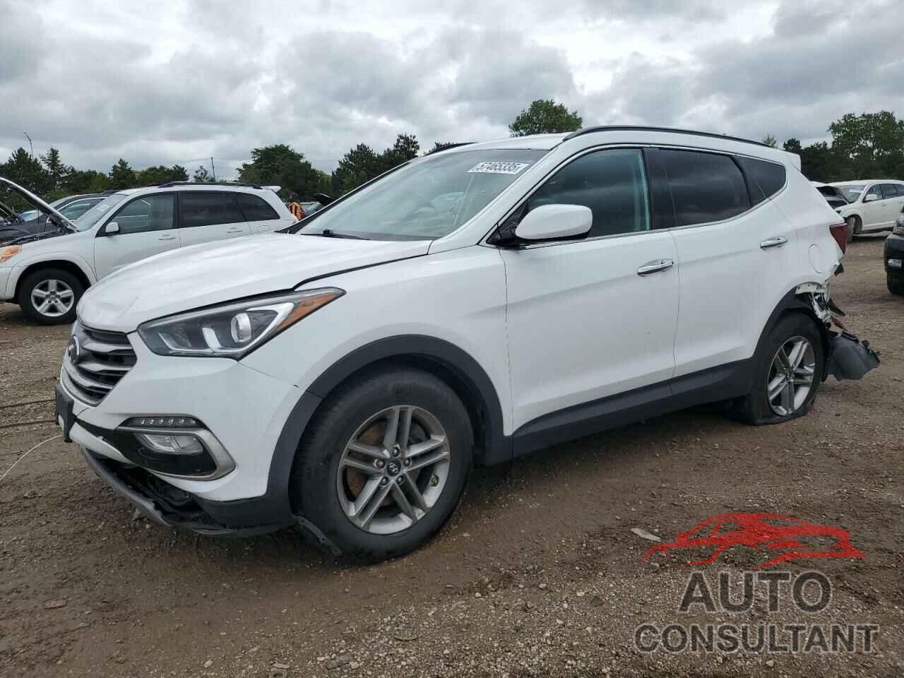HYUNDAI SANTA FE 2017 - 5NMZUDLB9HH029508