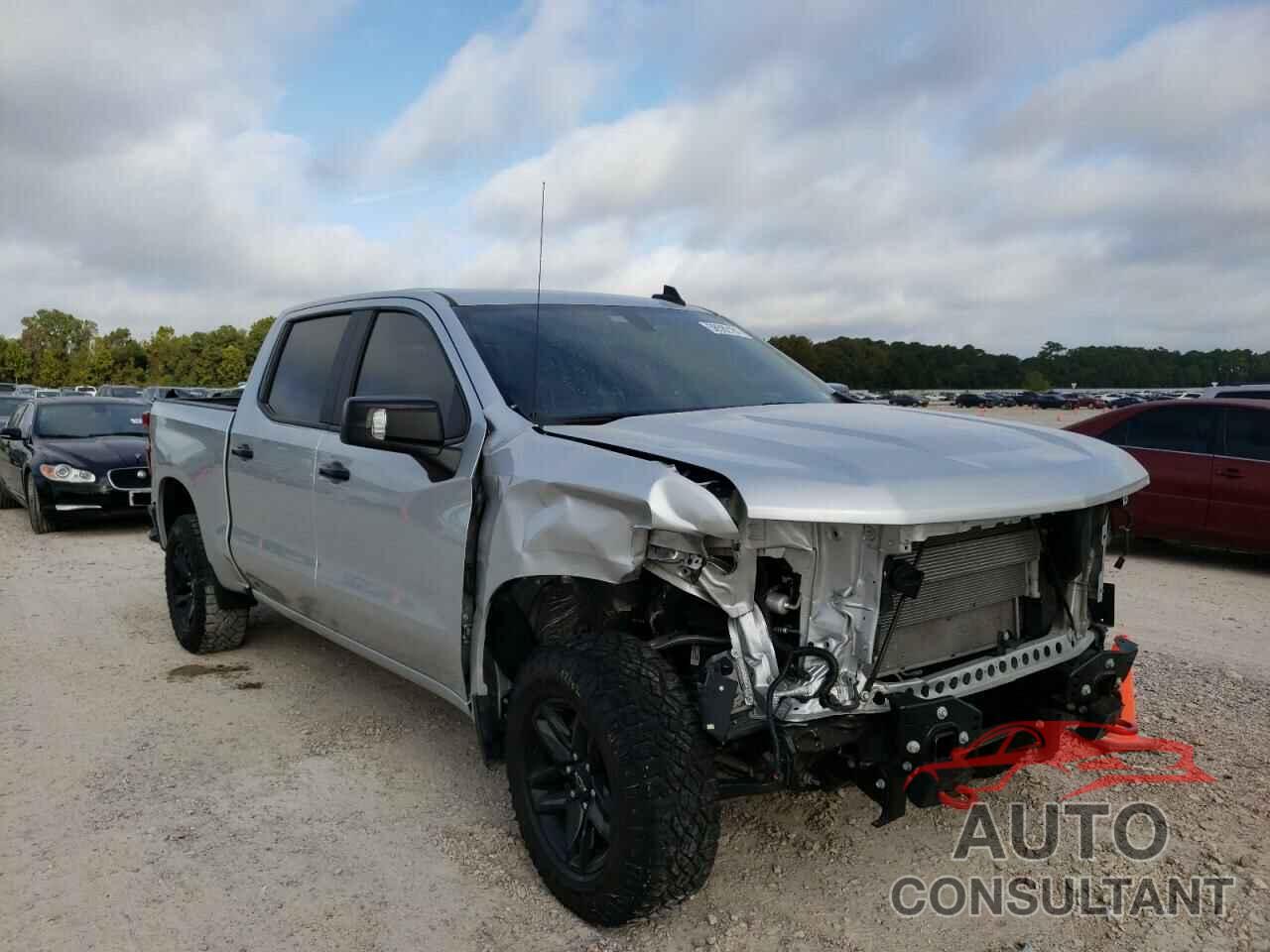 CHEVROLET SILVERADO 2020 - 1GCPYFEL2LZ233262