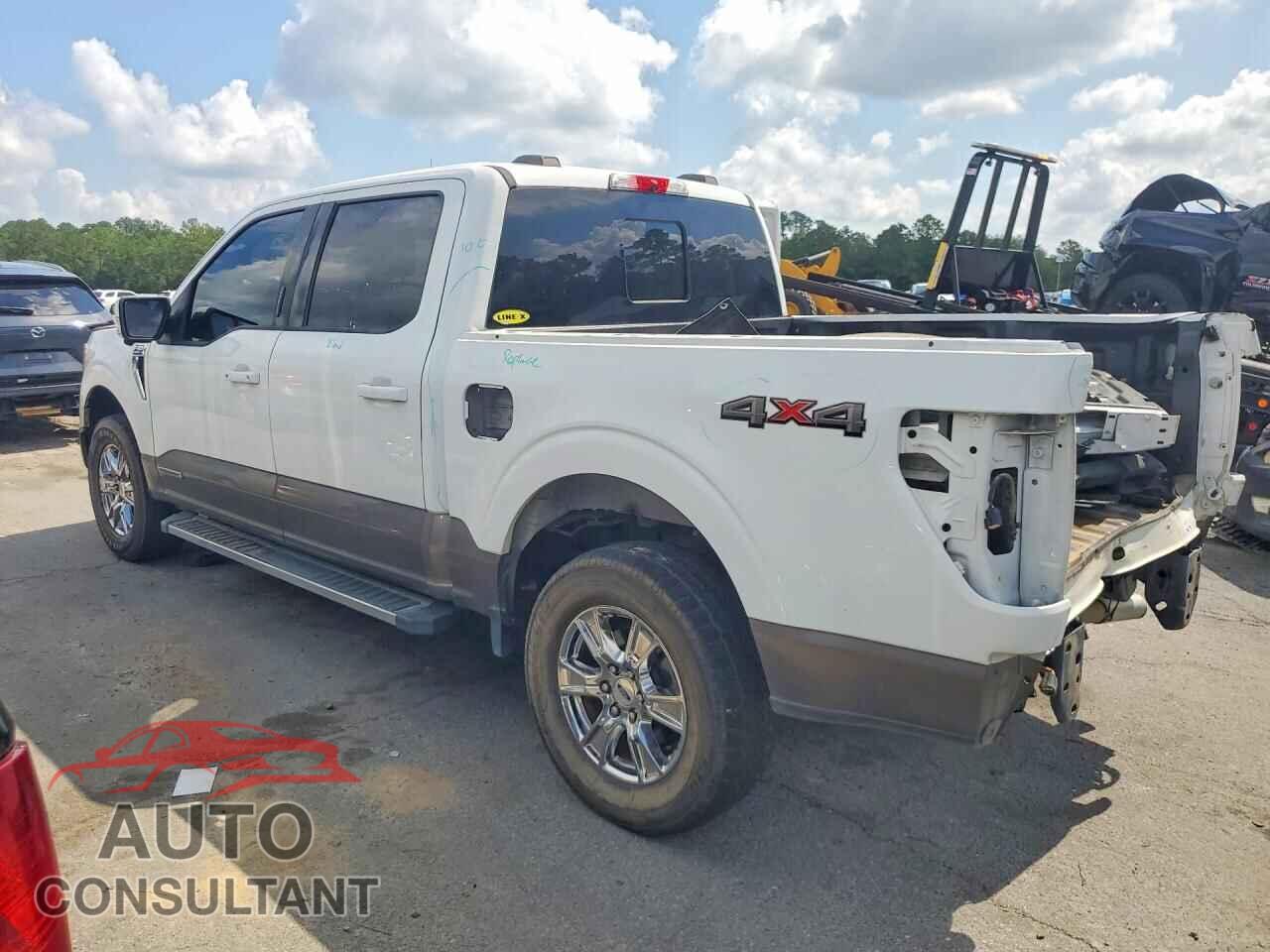FORD F150 2021 - 1FTFW1ED0MFB24203