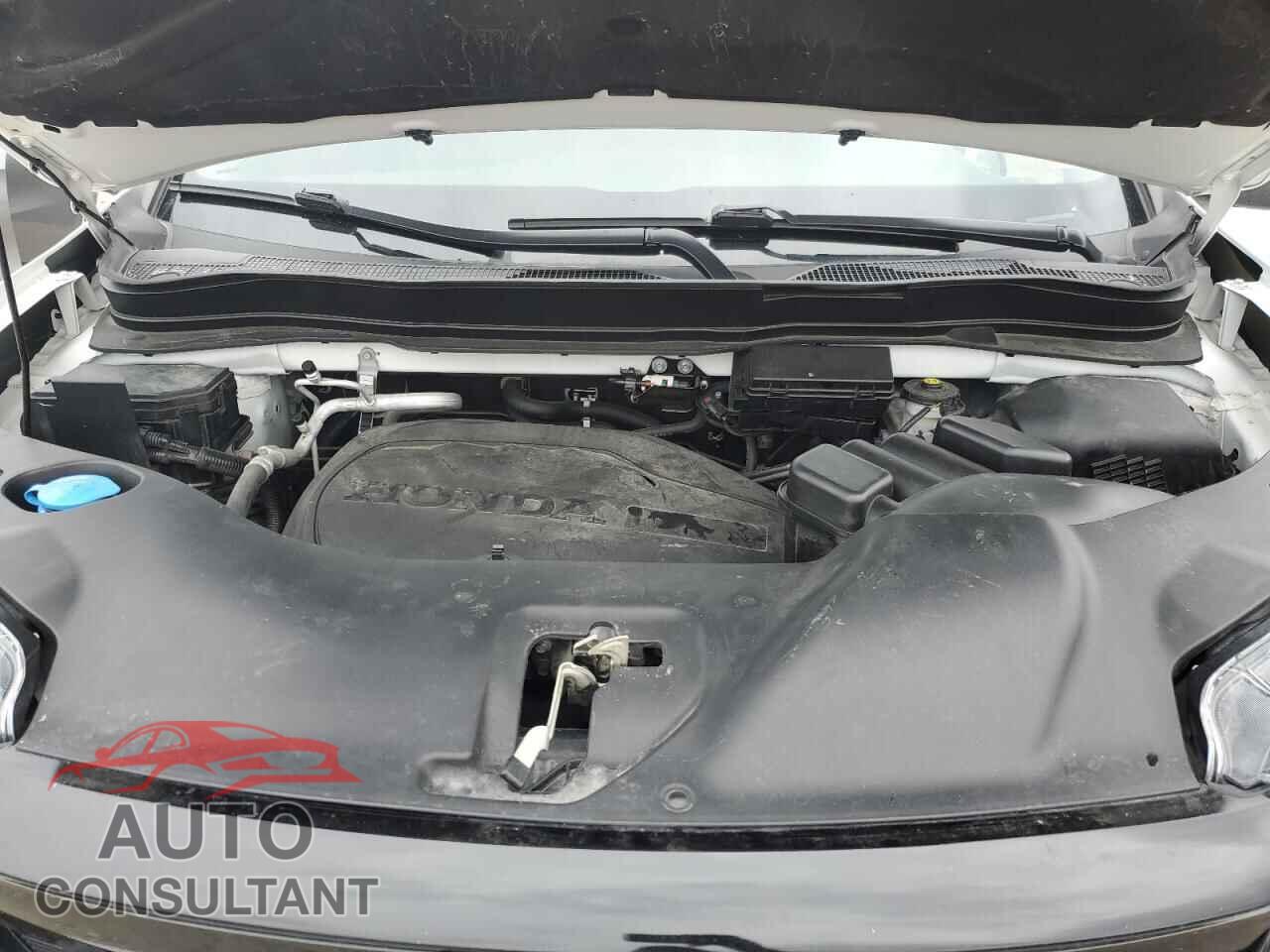 HONDA PILOT 2021 - 5FNYF5H20MB045404