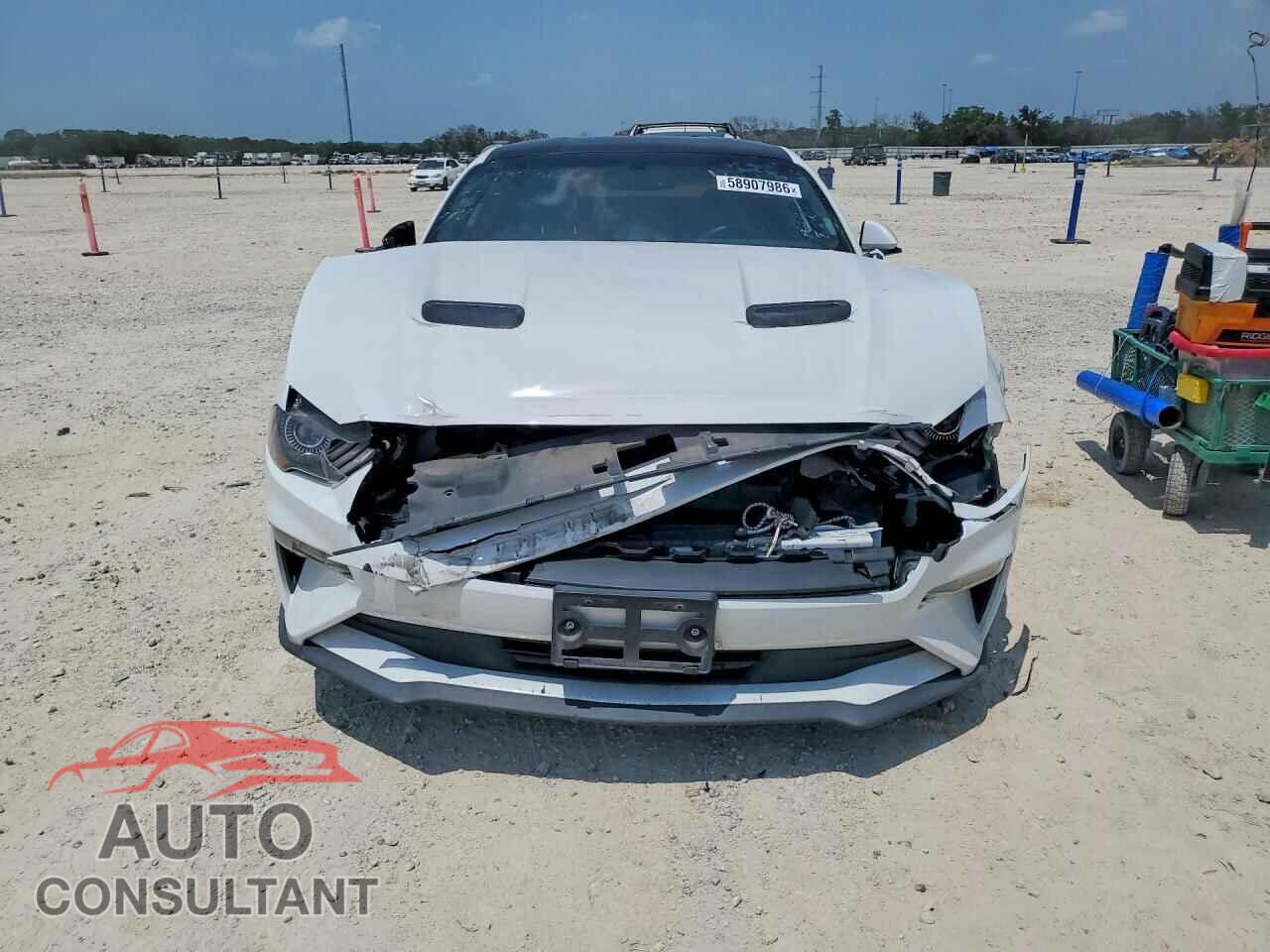 FORD MUSTANG 2019 - 1FA6P8TH7K5122971