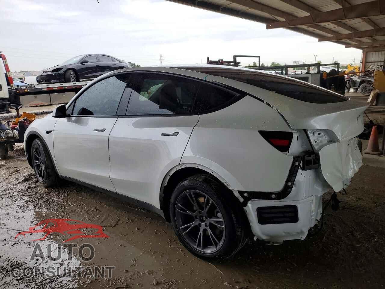 TESLA MODEL Y 2025 - 7SAYGDEEXSA346491