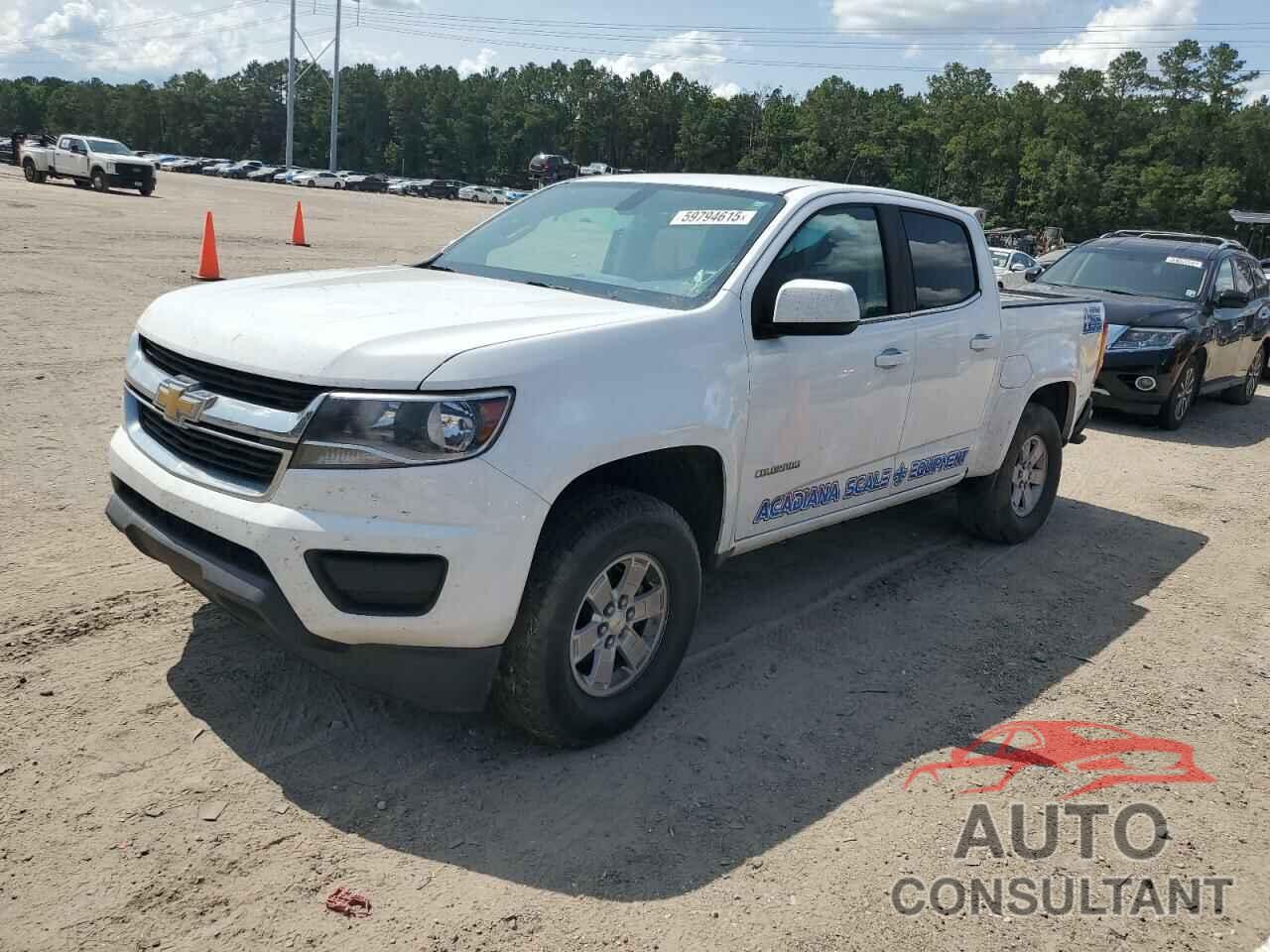 CHEVROLET COLORADO 2019 - 1GCGSBEN6K1357902