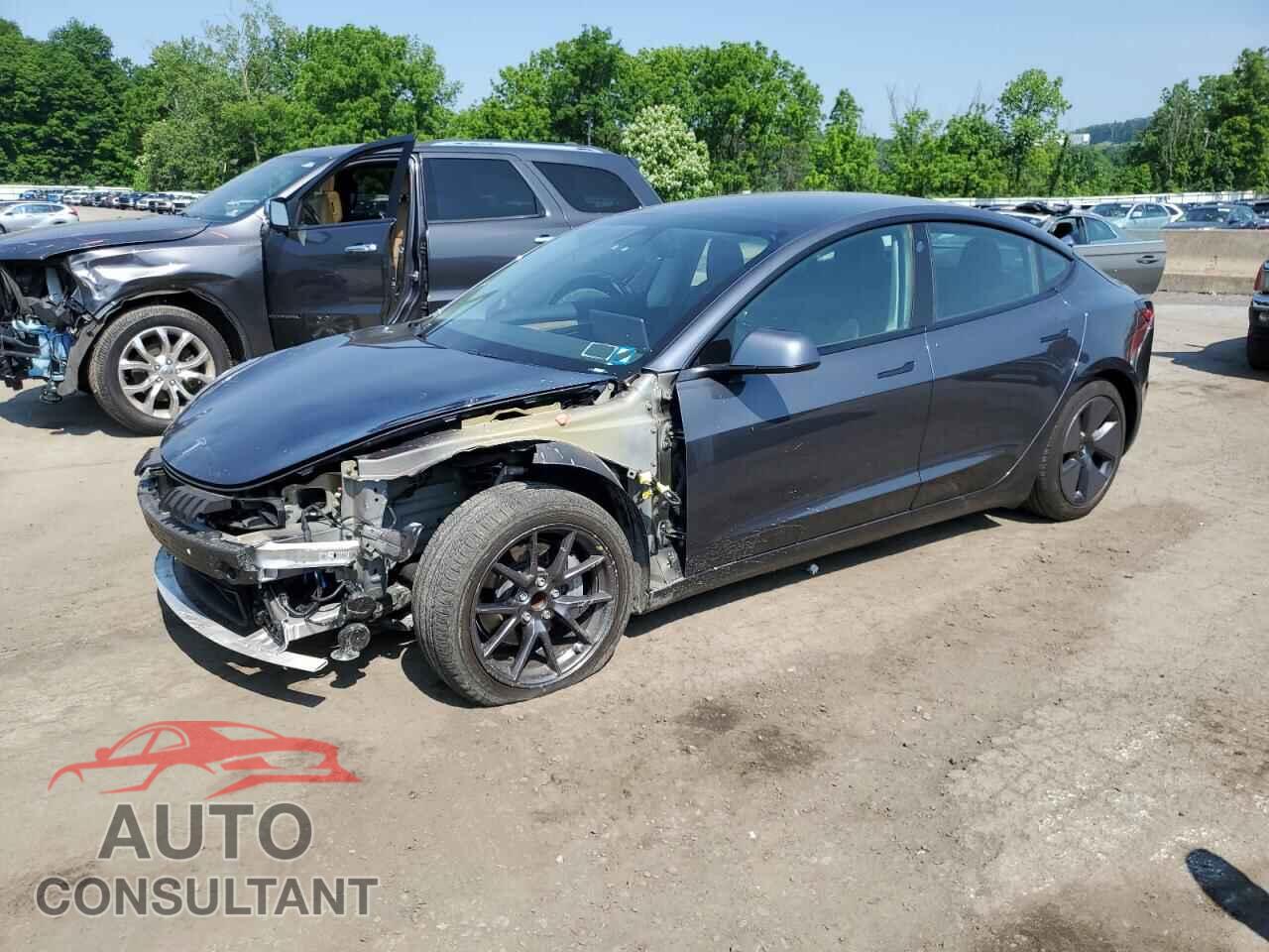 TESLA MODEL 3 2021 - 5YJ3E1EA7MF016225