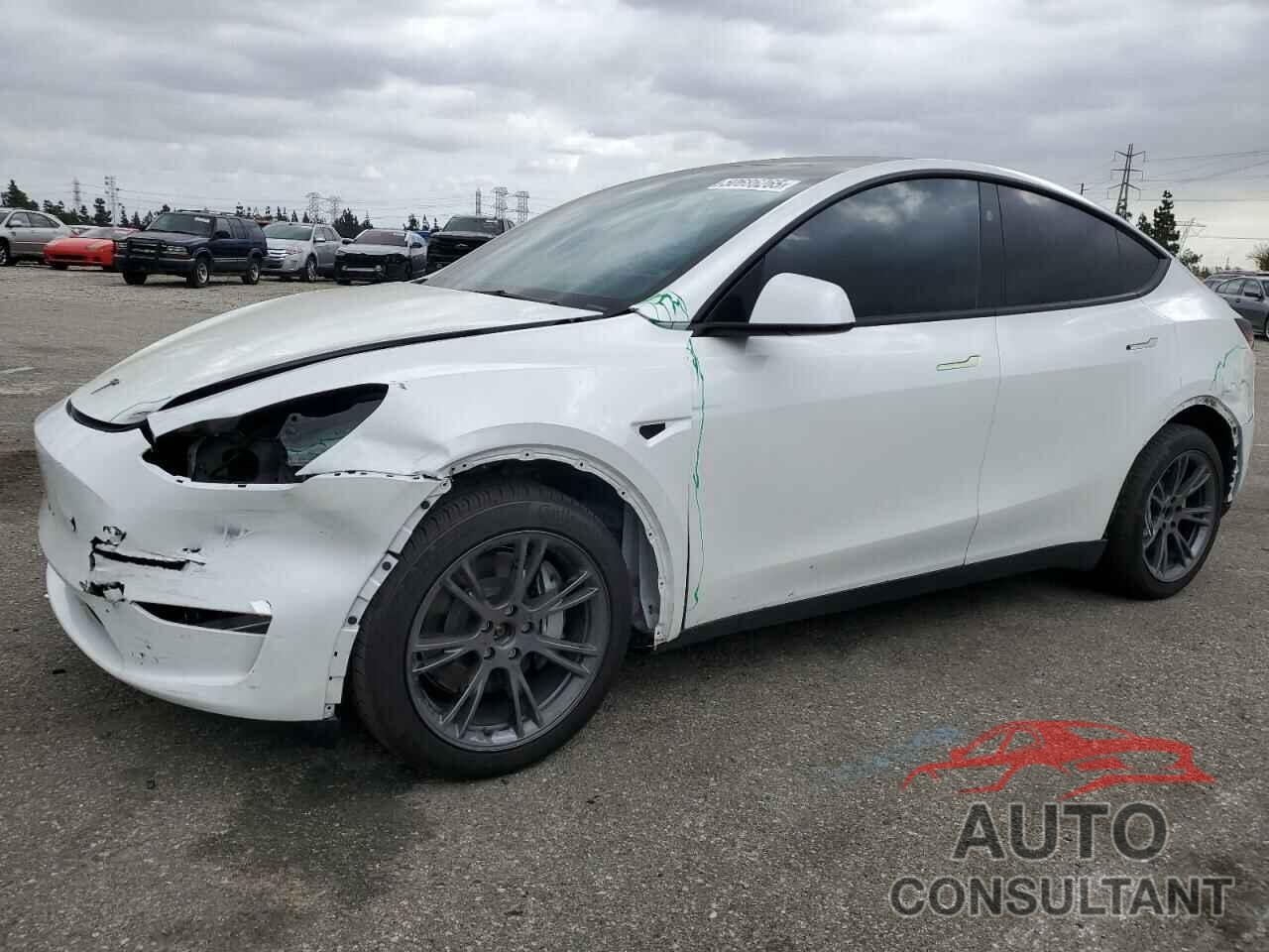 TESLA MODEL Y 2025 - 7SAYGDEE5SF237732