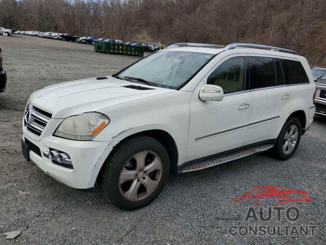 MERCEDES-BENZ GL-CLASS 2010 - 4JGBF7BE0AA543834