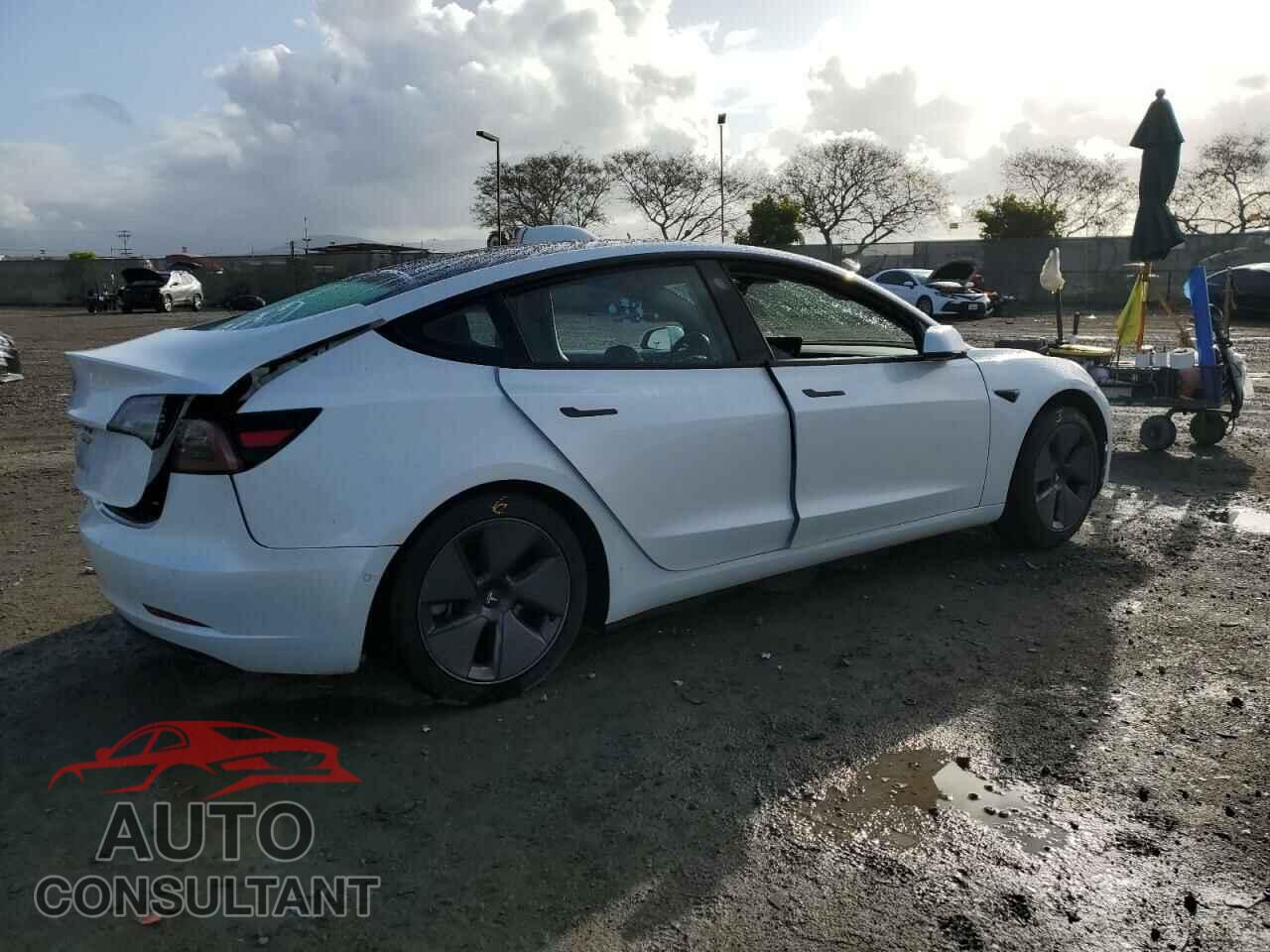 TESLA MODEL 3 2021 - 5YJ3E1EA7MF003393