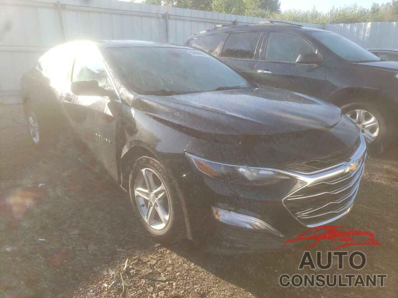 CHEVROLET MALIBU 2019 - 1G1ZB5ST0KF204702