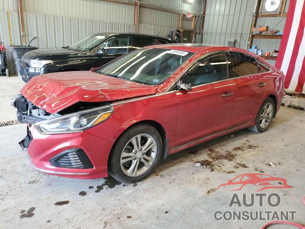 HYUNDAI SONATA 2019 - 5NPE34AF9KH821708