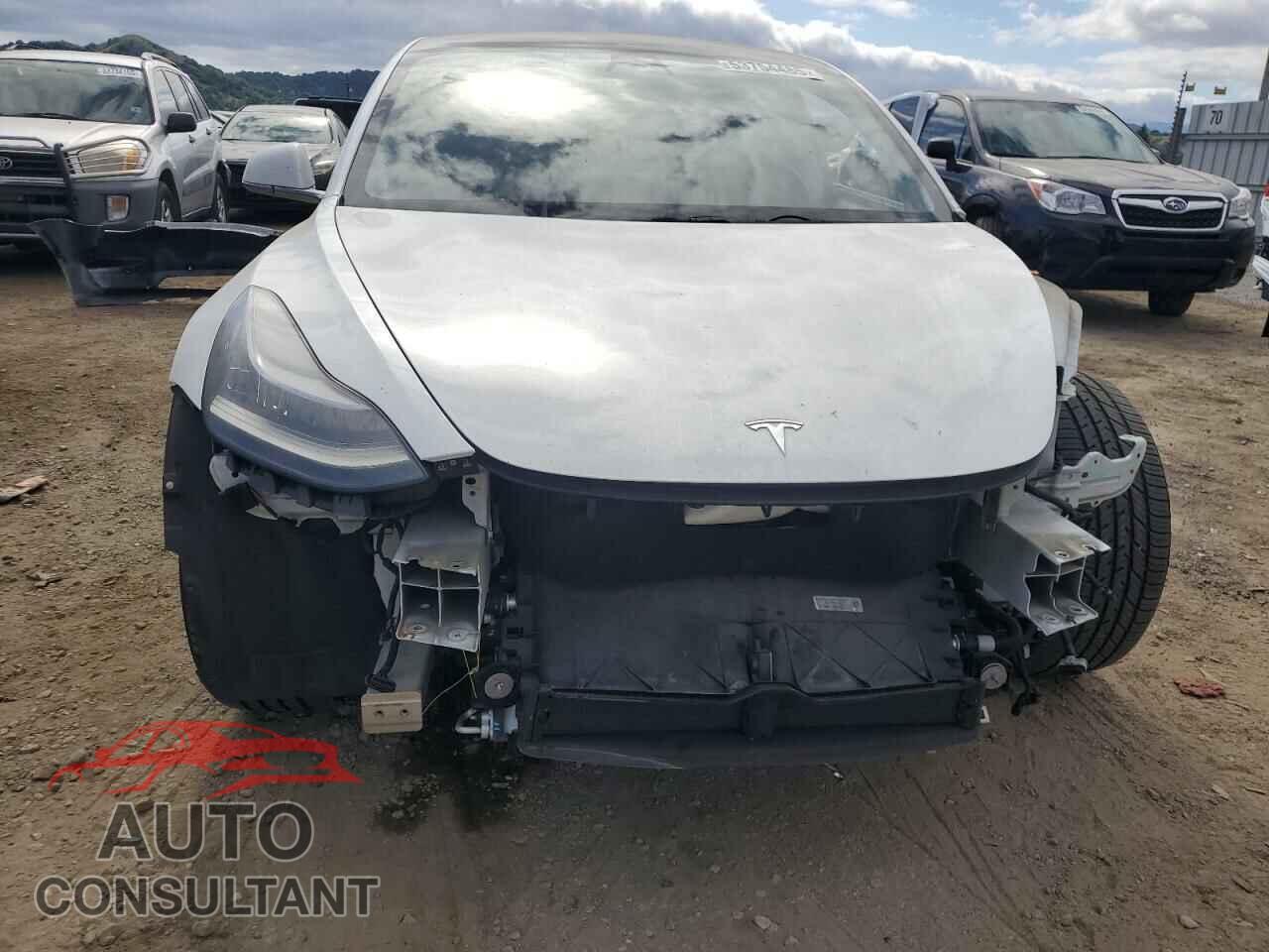 TESLA MODEL 3 2019 - 5YJ3E1EB2KF418627