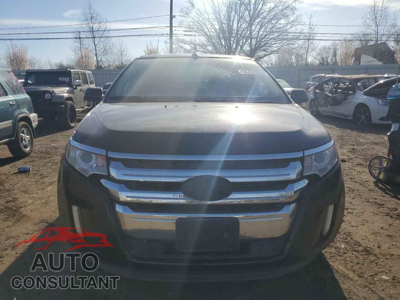 FORD EDGE 2014 - 2FMDK4KC4EBA49004