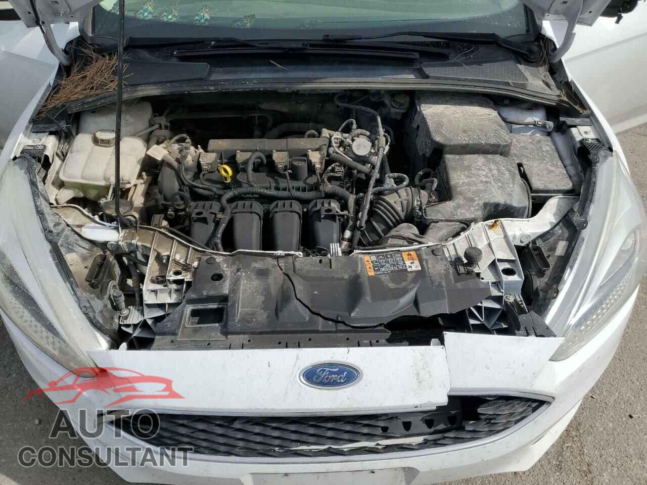 FORD FOCUS 2016 - 1FADP3K28GL372536