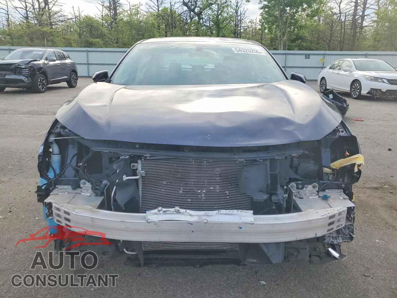 HONDA CIVIC 2017 - 2HGFC2F71HH551919