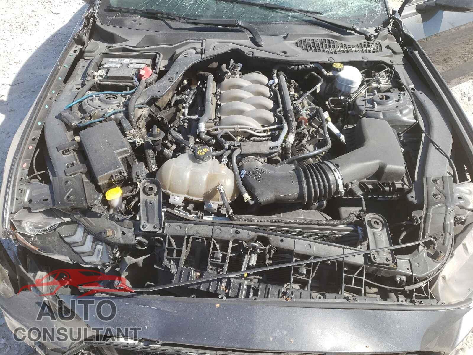 FORD MUSTANG 2019 - 1FA6P8CF0K5147659