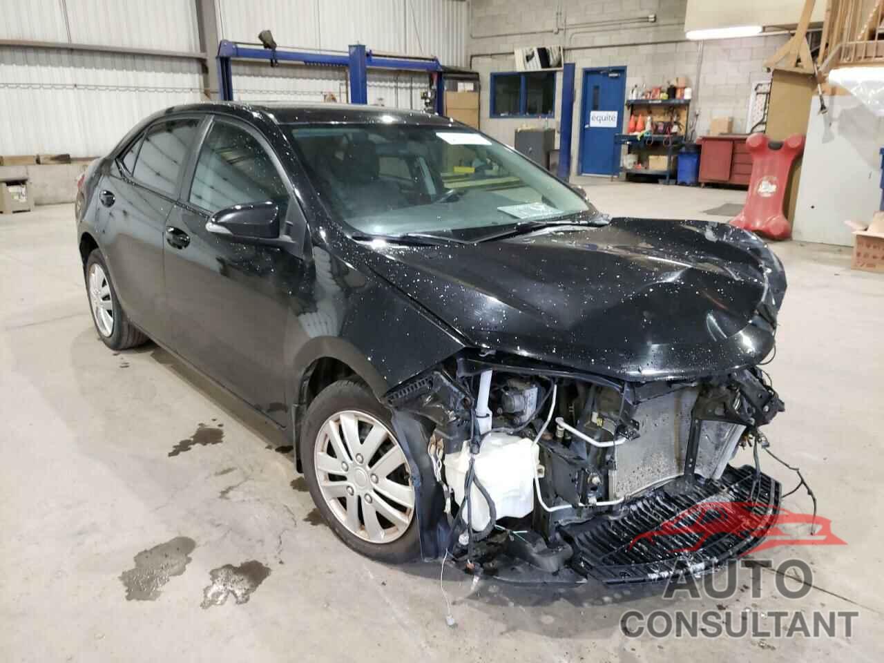 TOYOTA COROLLA 2016 - 2T1BURHE8GC556123