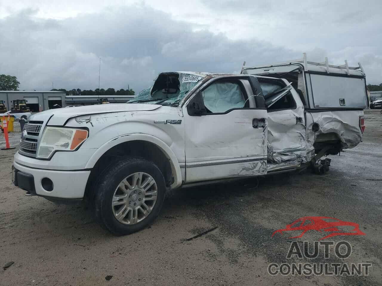 FORD F-150 2010 - 1FTFW1EVXAFB85563