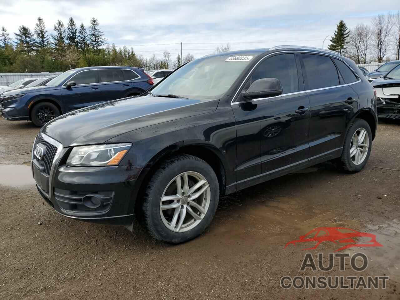 AUDI Q5 2012 - WA1LFCFP7CA095022