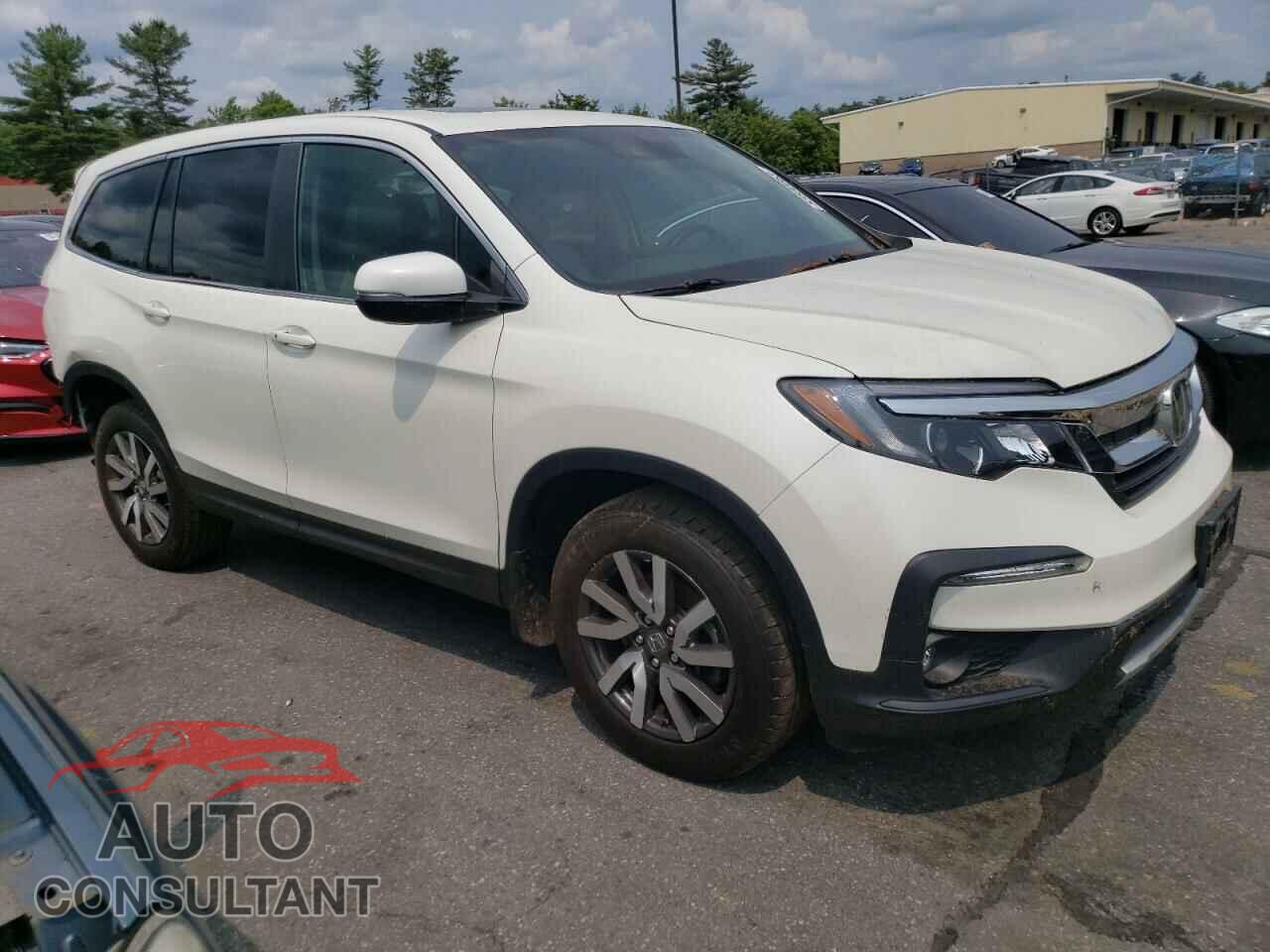 HONDA PILOT 2019 - 5FNYF6H46KB011956
