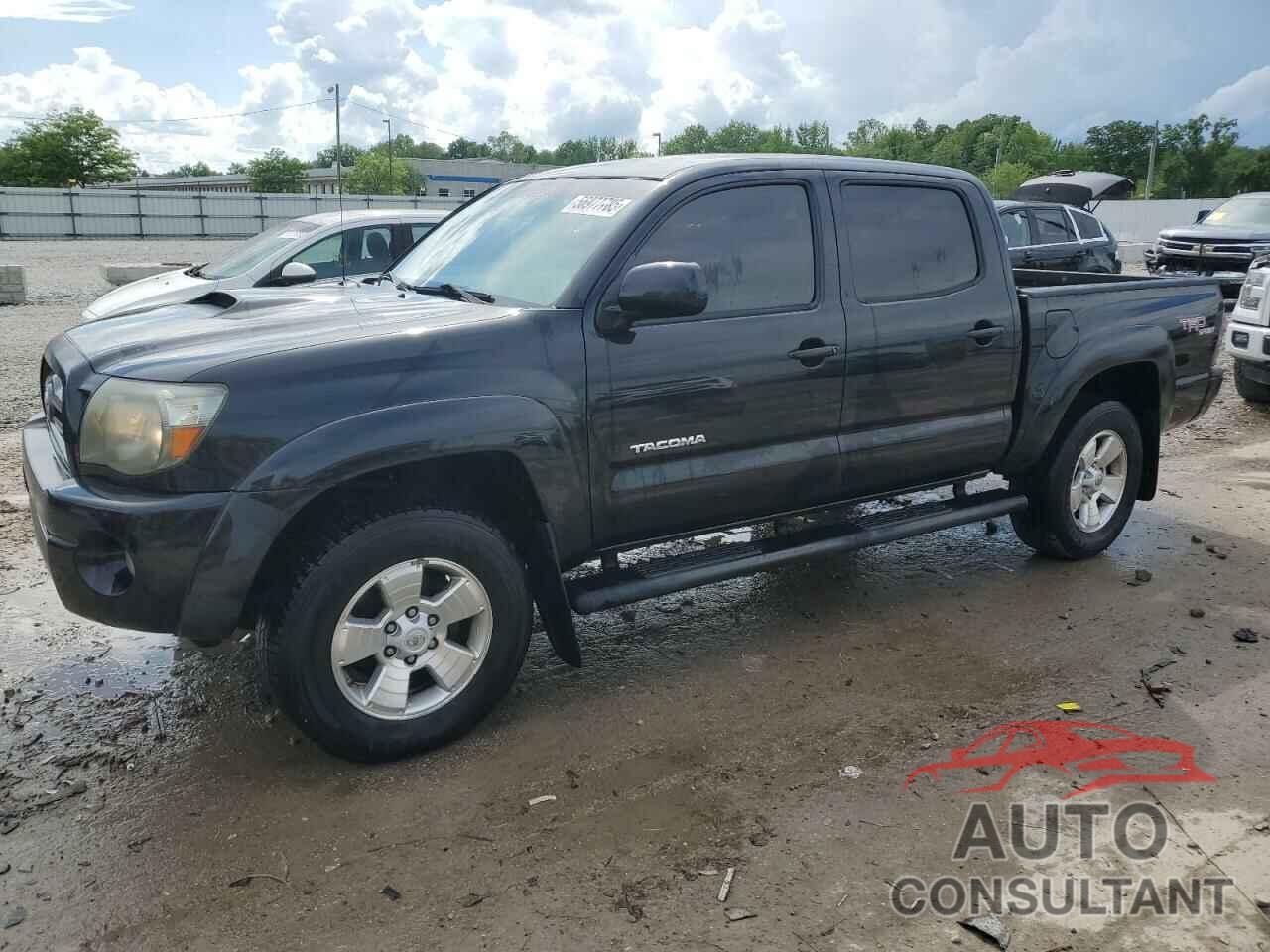 TOYOTA TACOMA 2009 - 3TMLU42N09M028506