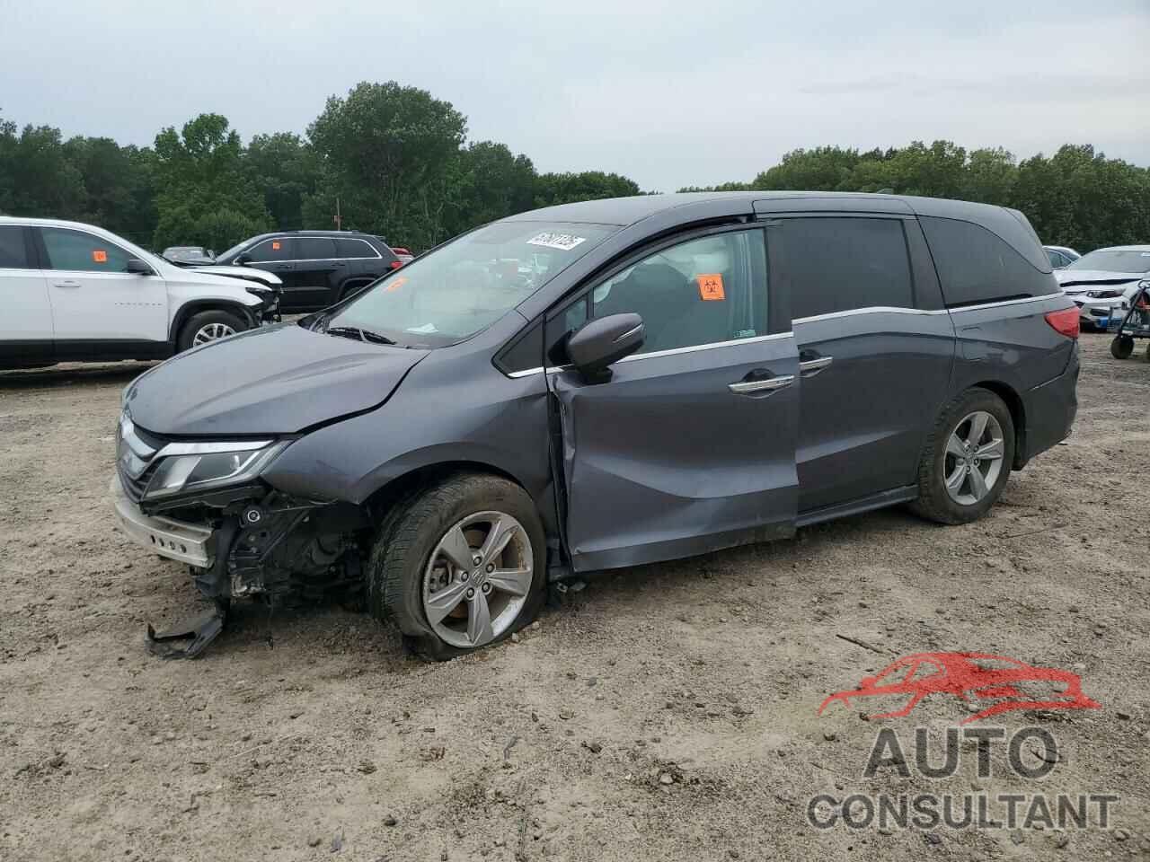 HONDA All Models 2019 - 5FNRL6H55KB122830