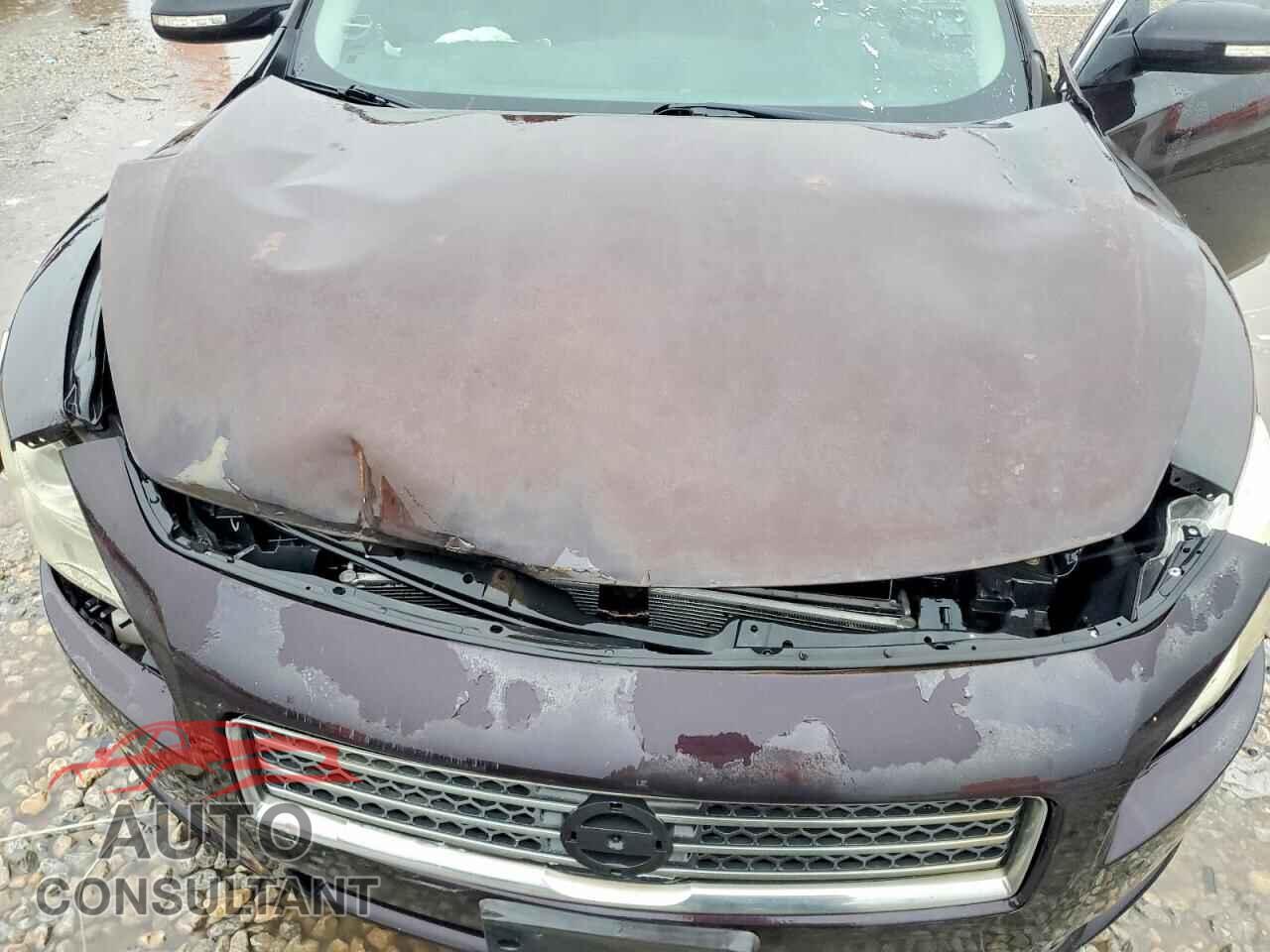 NISSAN MAXIMA 2013 - 1N4AA5AP1DC810452