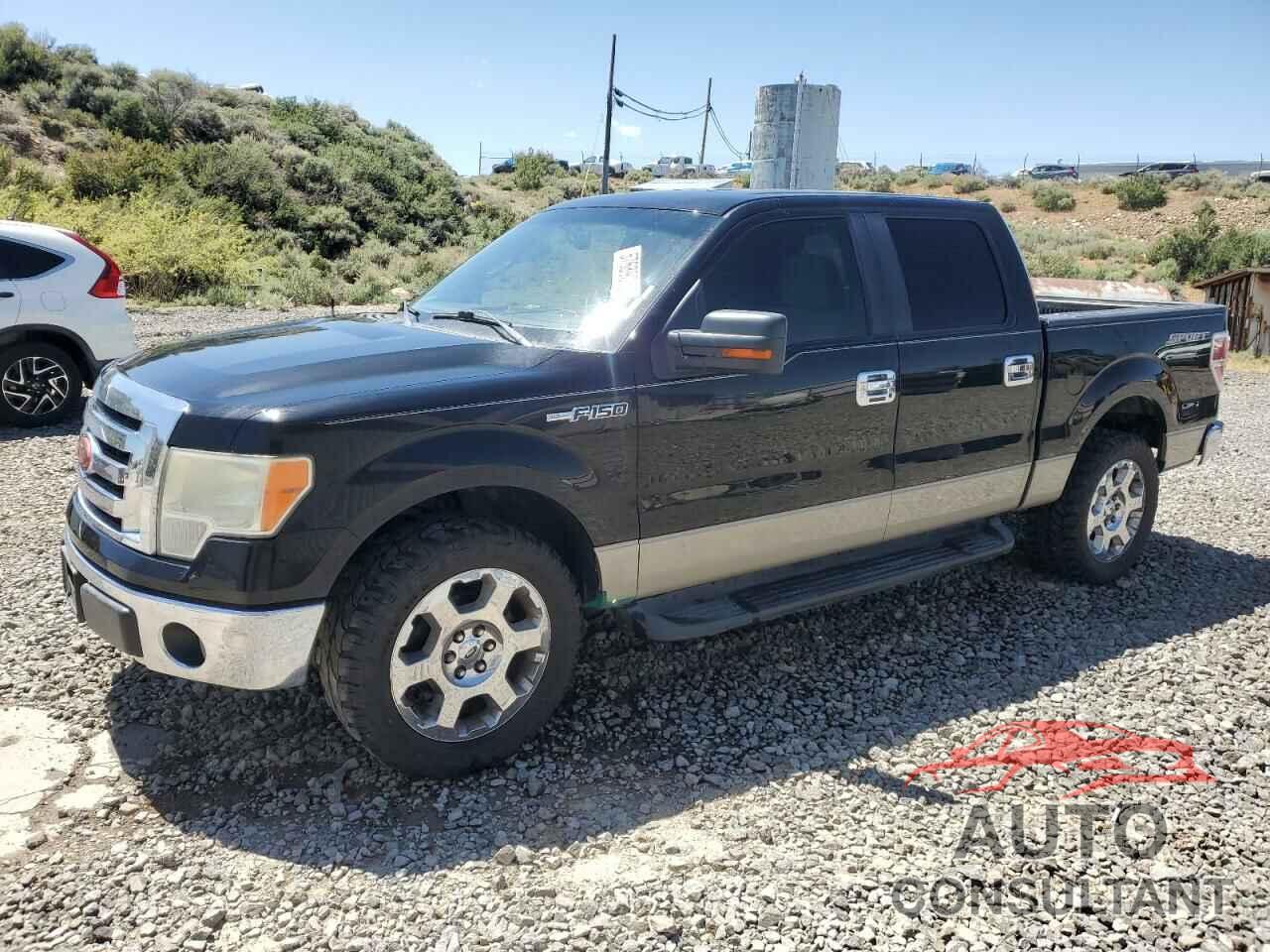FORD F-150 2009 - 1FTRW12889FB46414