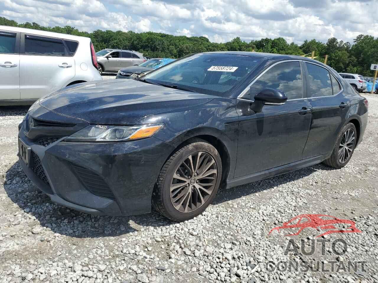 TOYOTA CAMRY 2019 - 4T1B11HK8KU739870