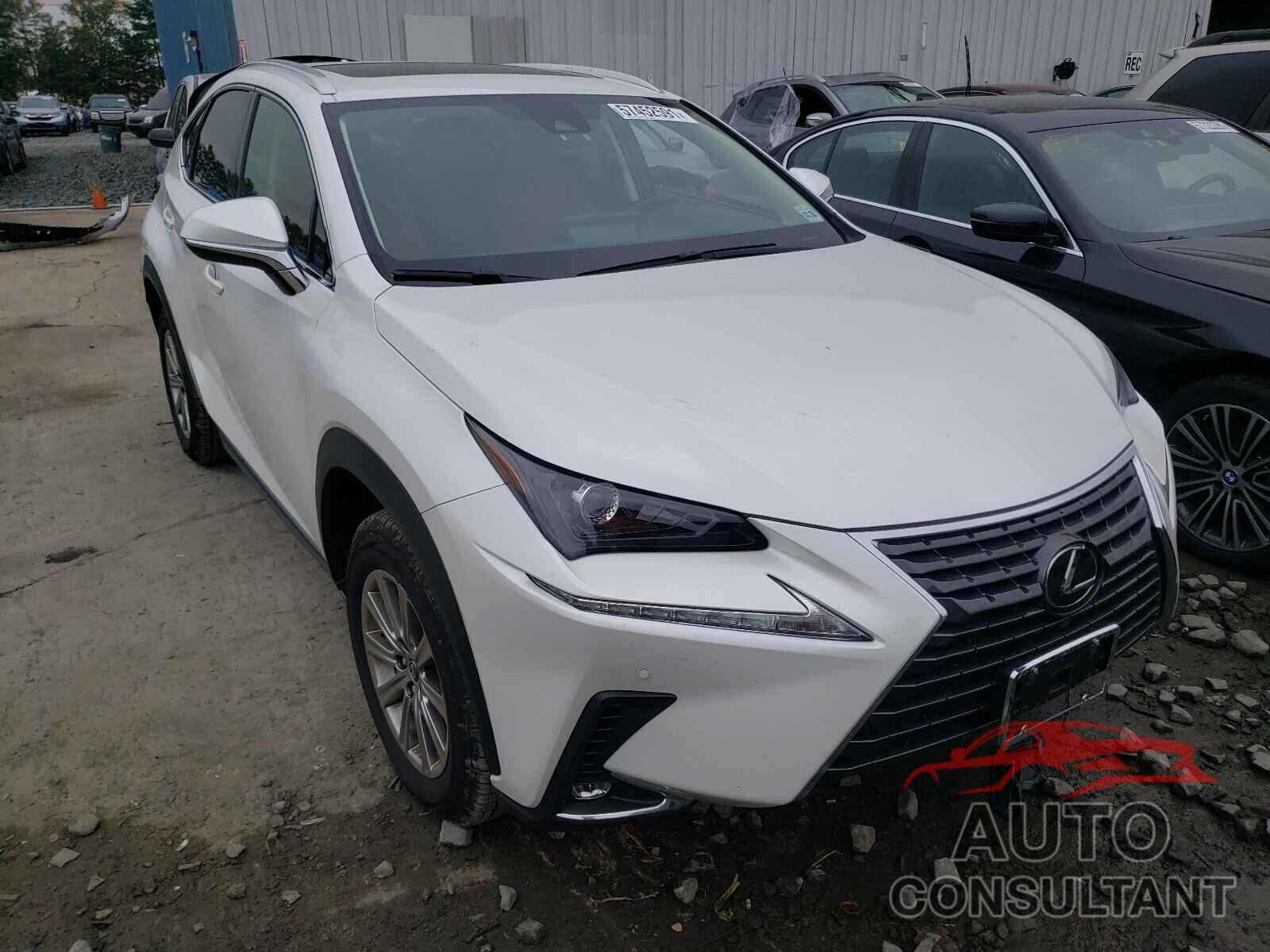 LEXUS NX 2021 - JTJDARDZXM5019964