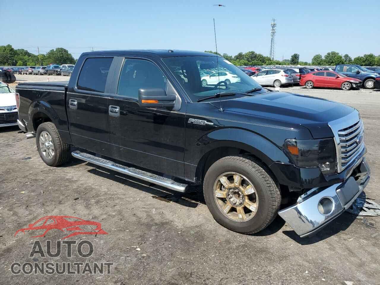 FORD ALL OTHER 2011 - 1FTFW1CF9BFC29193