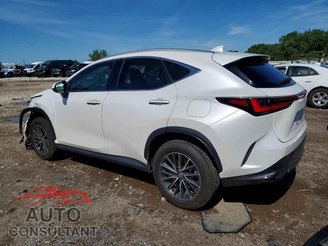 LEXUS NX 2024 - 2T2AGCEZ4RC059575