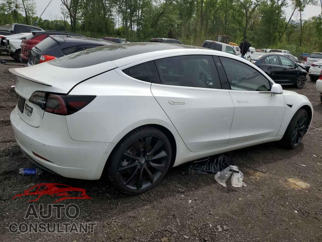TESLA MODEL 3 2019 - 5YJ3E1EA2KF486532