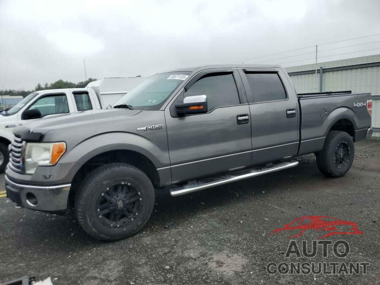 FORD F-150 2010 - 1FTFW1EV1AFD48049