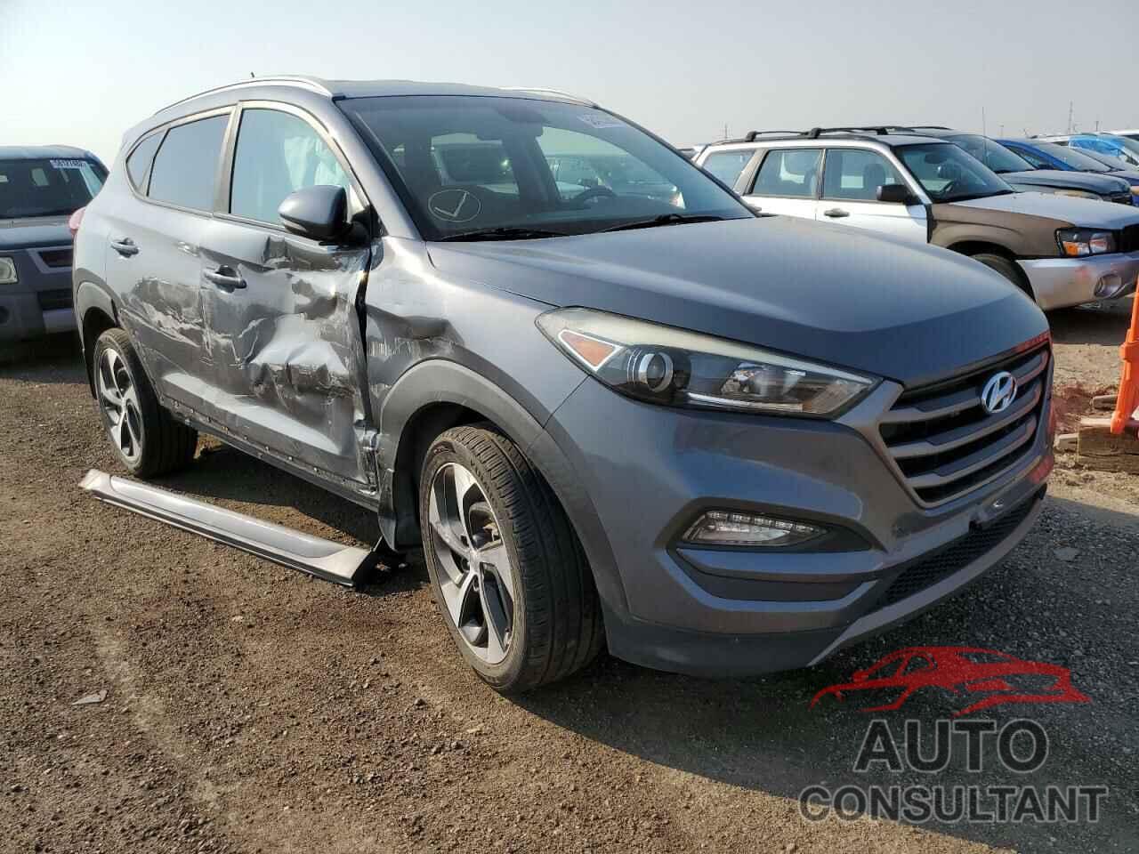 HYUNDAI TUCSON 2016 - KM8J33A26GU250693