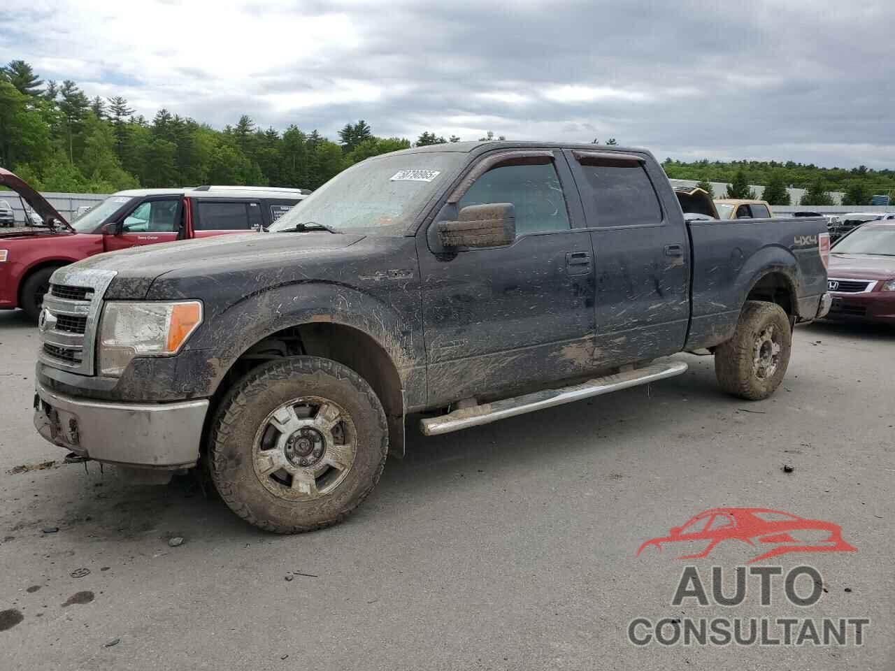 FORD F-150 2013 - 1FTFW1ETXDFD57304