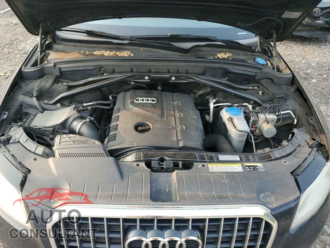 AUDI Q5 2013 - WA1CFAFP5DA065118