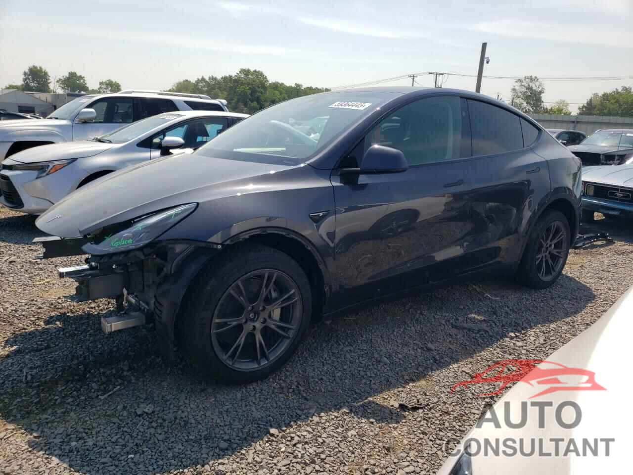TESLA MODEL Y 2025 - 7SAYGDEE2SA366296